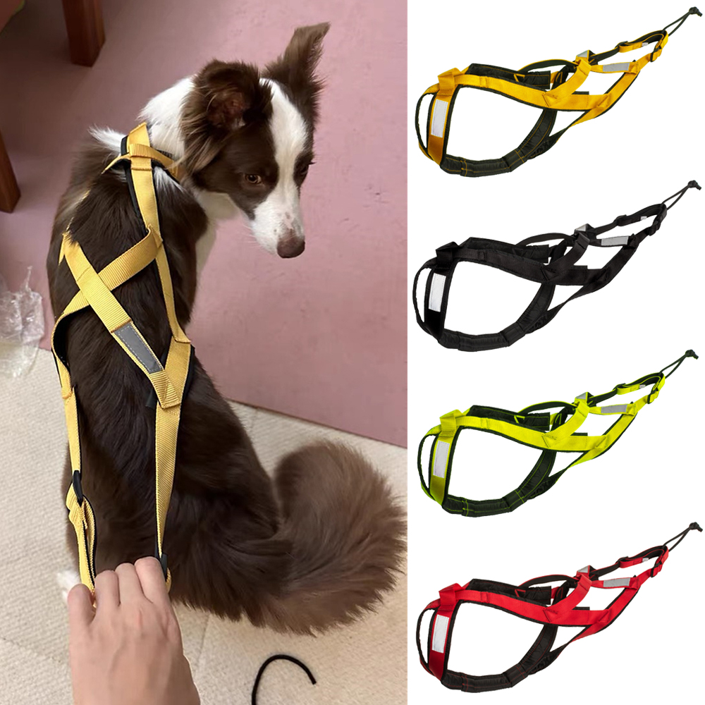 High Quality Big Dog Sledge Ha - مراجعة Running Gear Dog وسعره