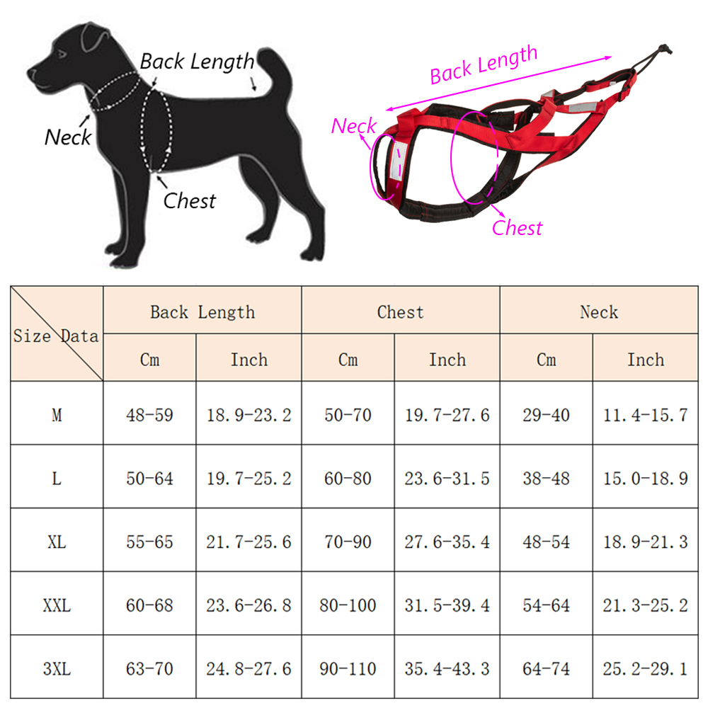 High Quality Big Dog Sledge Ha - مراجعة Running Gear Dog وسعره