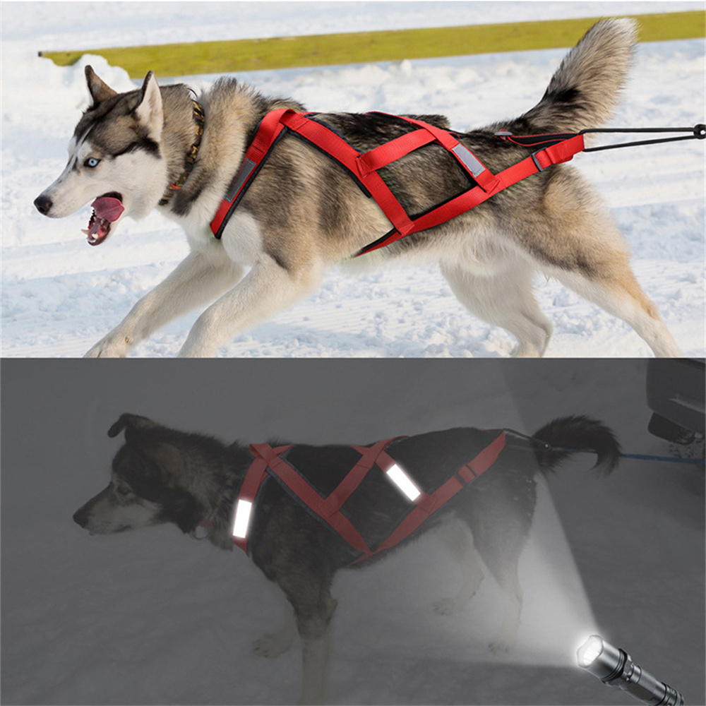 High Quality Big Dog Sledge Ha - مراجعة Running Gear Dog وسعره