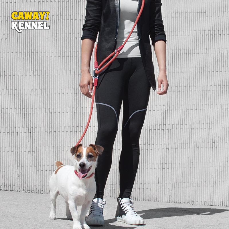 CAWAYI KENNEL Reflective Nylon - مراجعة Running Gear Dog وسعره