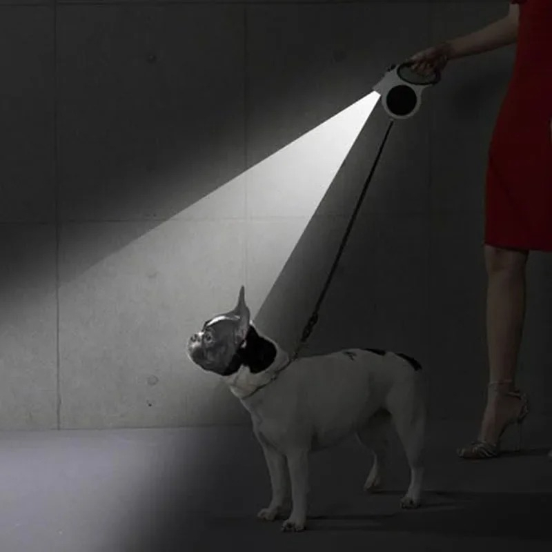1Pcs Illuminated Retractable D - مراجعة Running Gear Dog وسعره