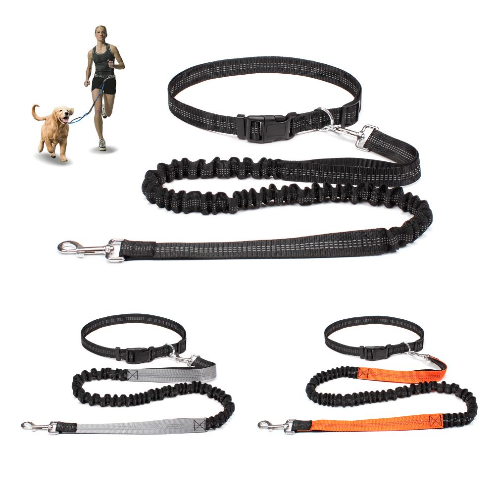 Hand Free Dog Leash for Pet Wa - مراجعة Running Gear Dog وسعره