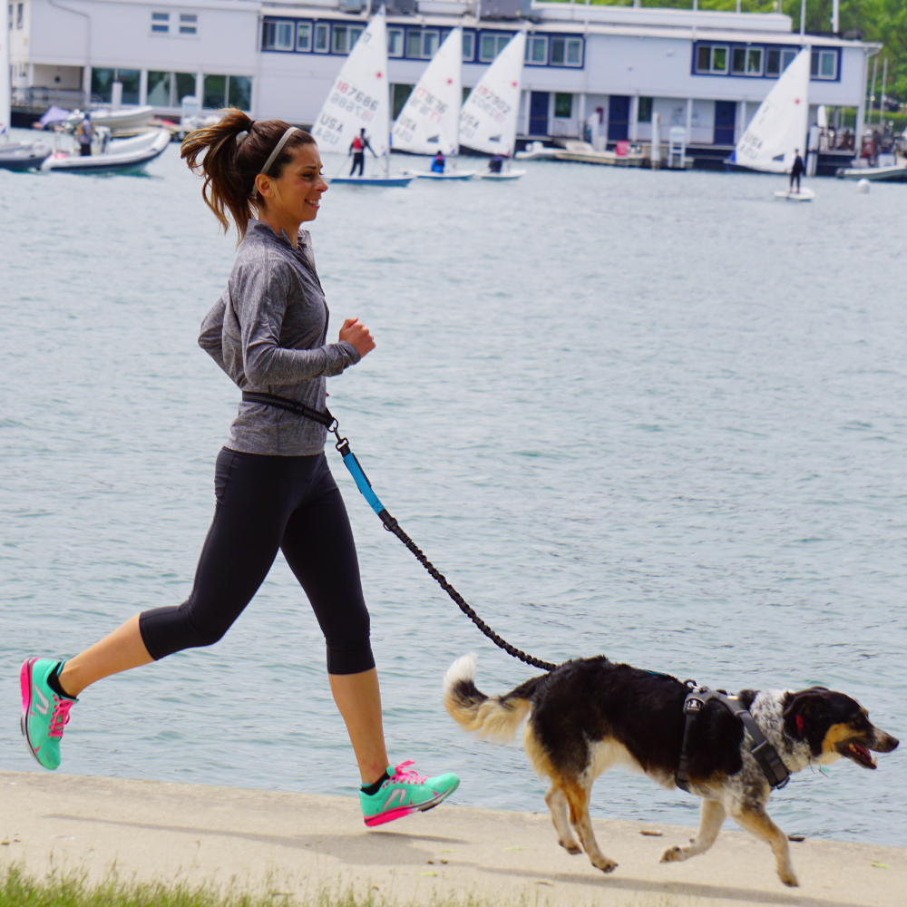 Hand Free Dog Leash for Pet Wa - مراجعة Running Gear Dog وسعره