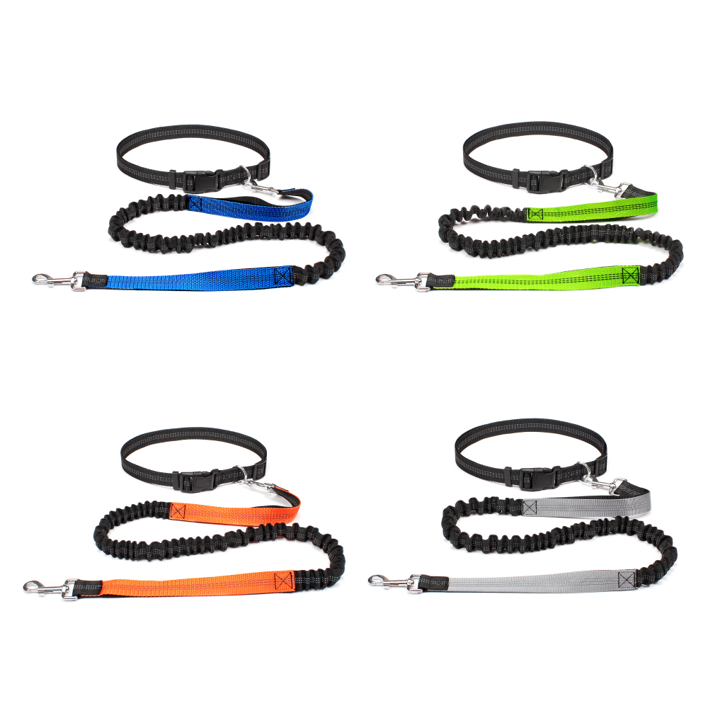 Hand Free Dog Leash for Pet Wa - مراجعة Running Gear Dog وسعره