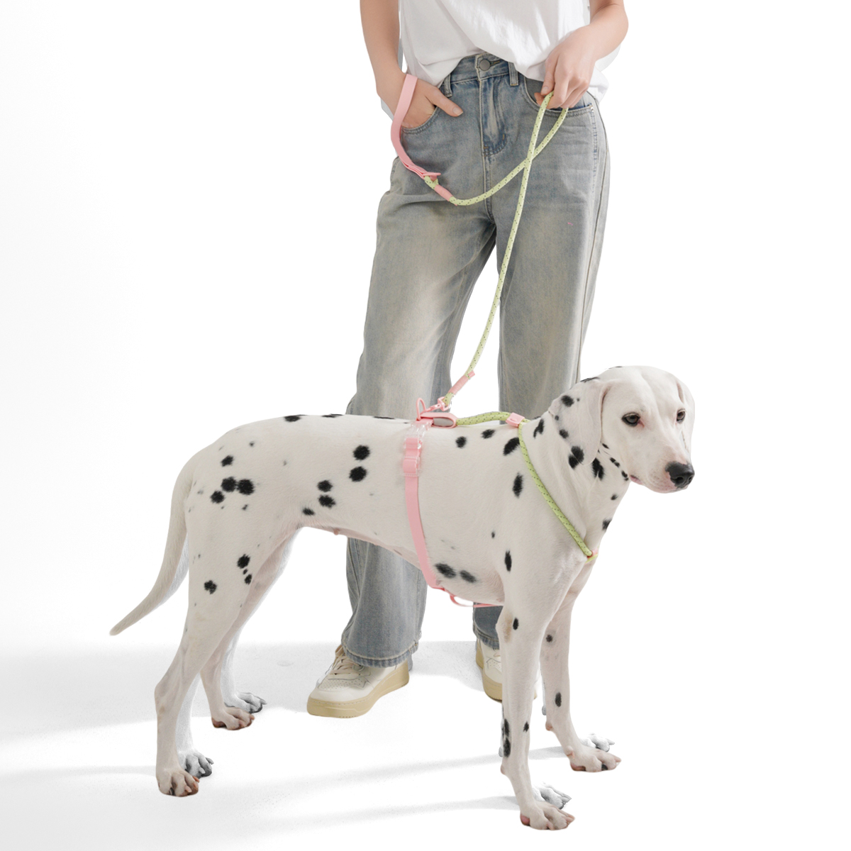 Small And Medium Dogs Harness  - مراجعة Running Gear Dog وسعره