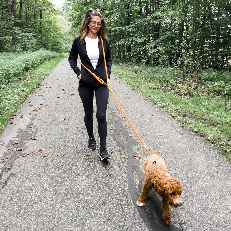 Adjustable Hands-Free Dog Leas - مراجعة Running Gear Dog وسعره