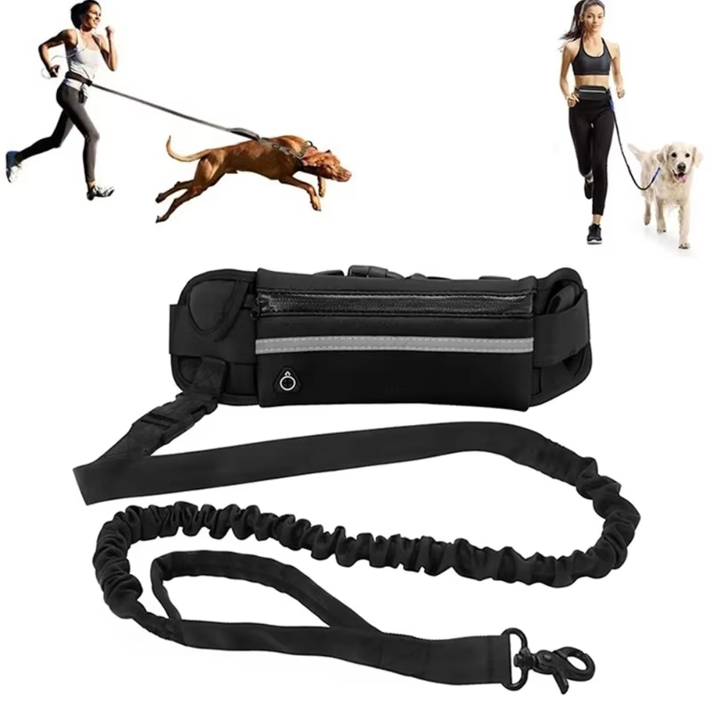 High Visibility Hands-Free Dog - مراجعة Running Gear Dog وسعره