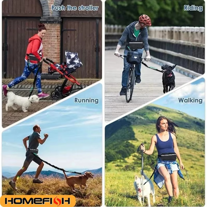 High Visibility Hands-Free Dog - مراجعة Running Gear Dog وسعره