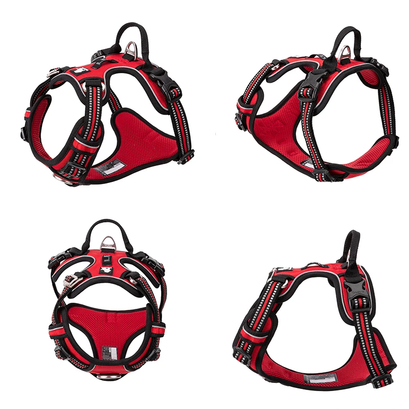 Truelove Pet Reflective Nylon  - مراجعة Running Gear Dog وسعره