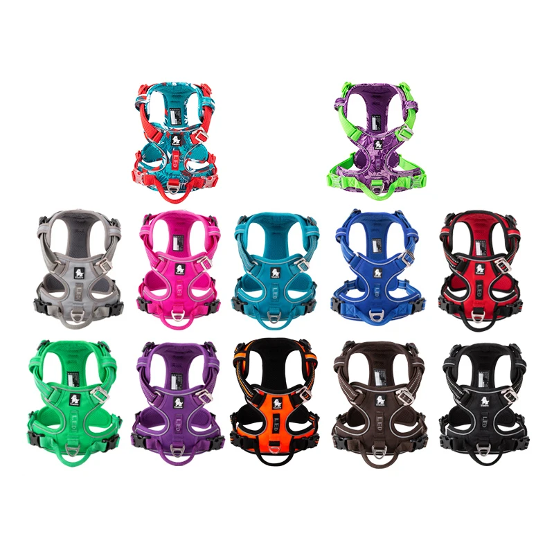 Truelove Pet Reflective Nylon  - مراجعة Running Gear Dog وسعره