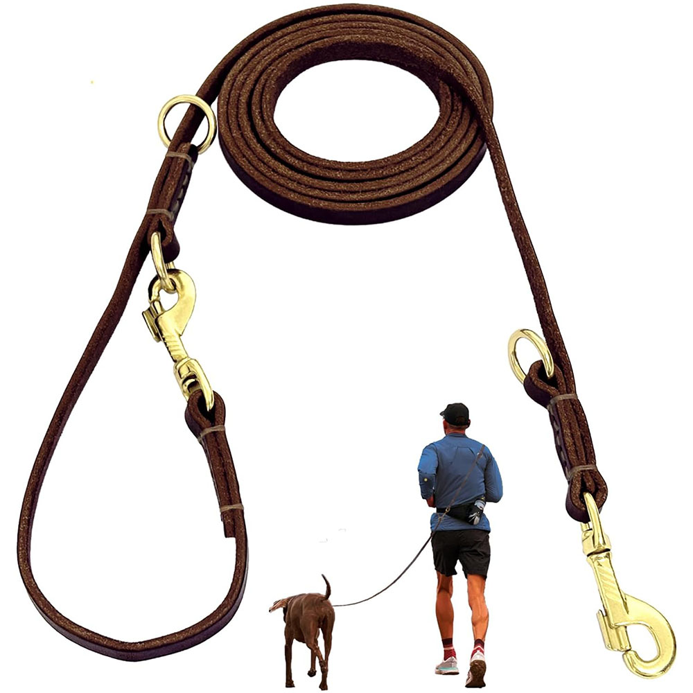 Multi Function Leather Dog Lea - مراجعة Running Gear Dog وسعره