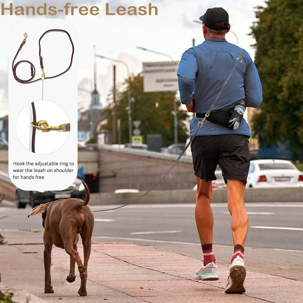 Multi Function Leather Dog Lea - مراجعة Running Gear Dog وسعره
