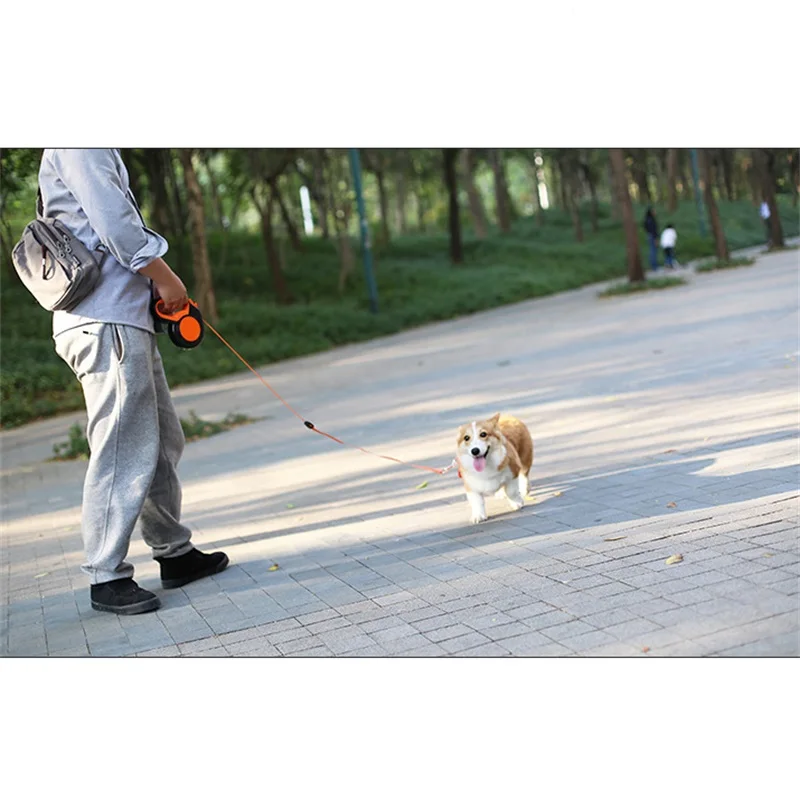 3M/5M/8MRetractable Dog Leash  - مراجعة Running Gear Dog وسعره