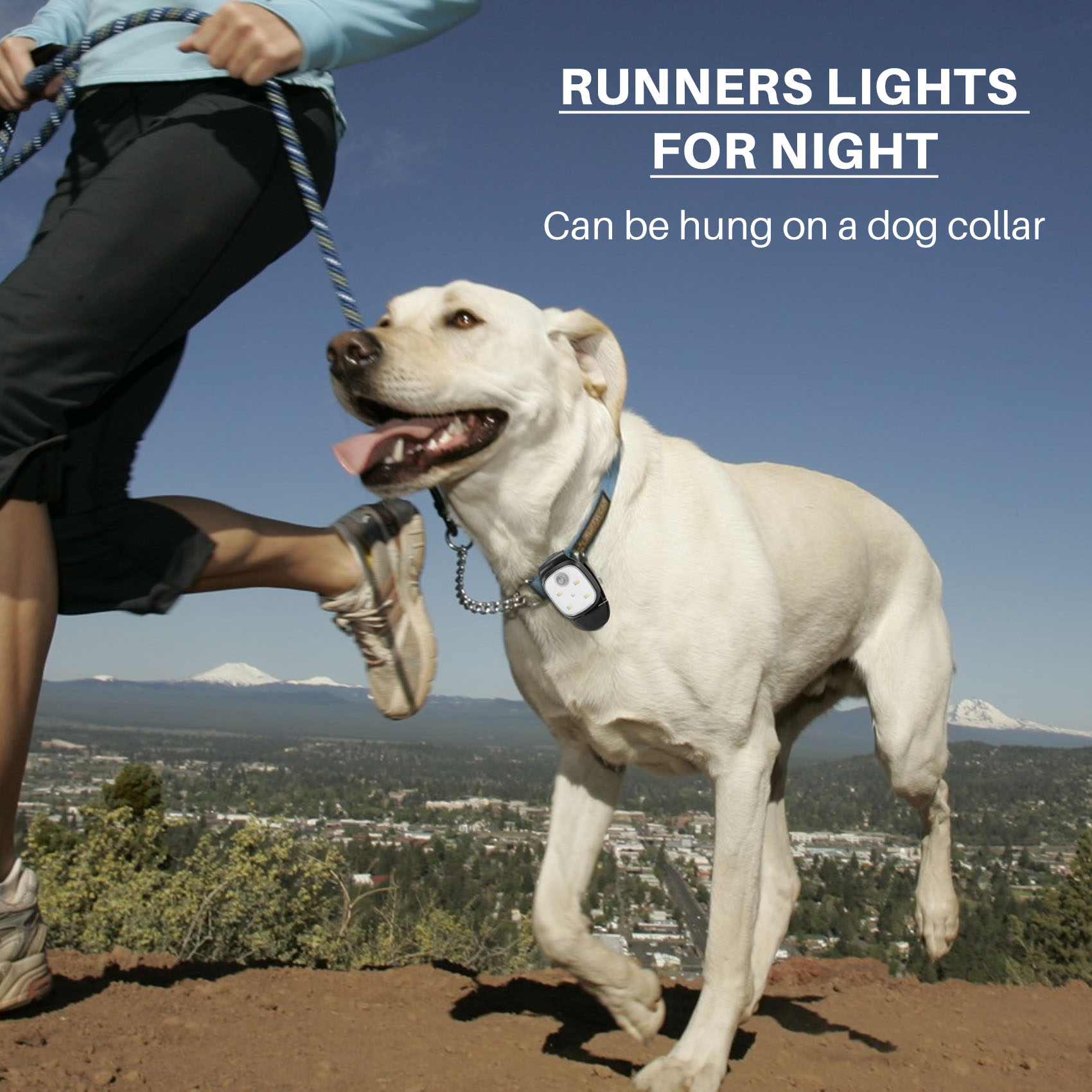 XSXS-Outdoor Night Clip On Run - مراجعة Running Gear Night وسعره
