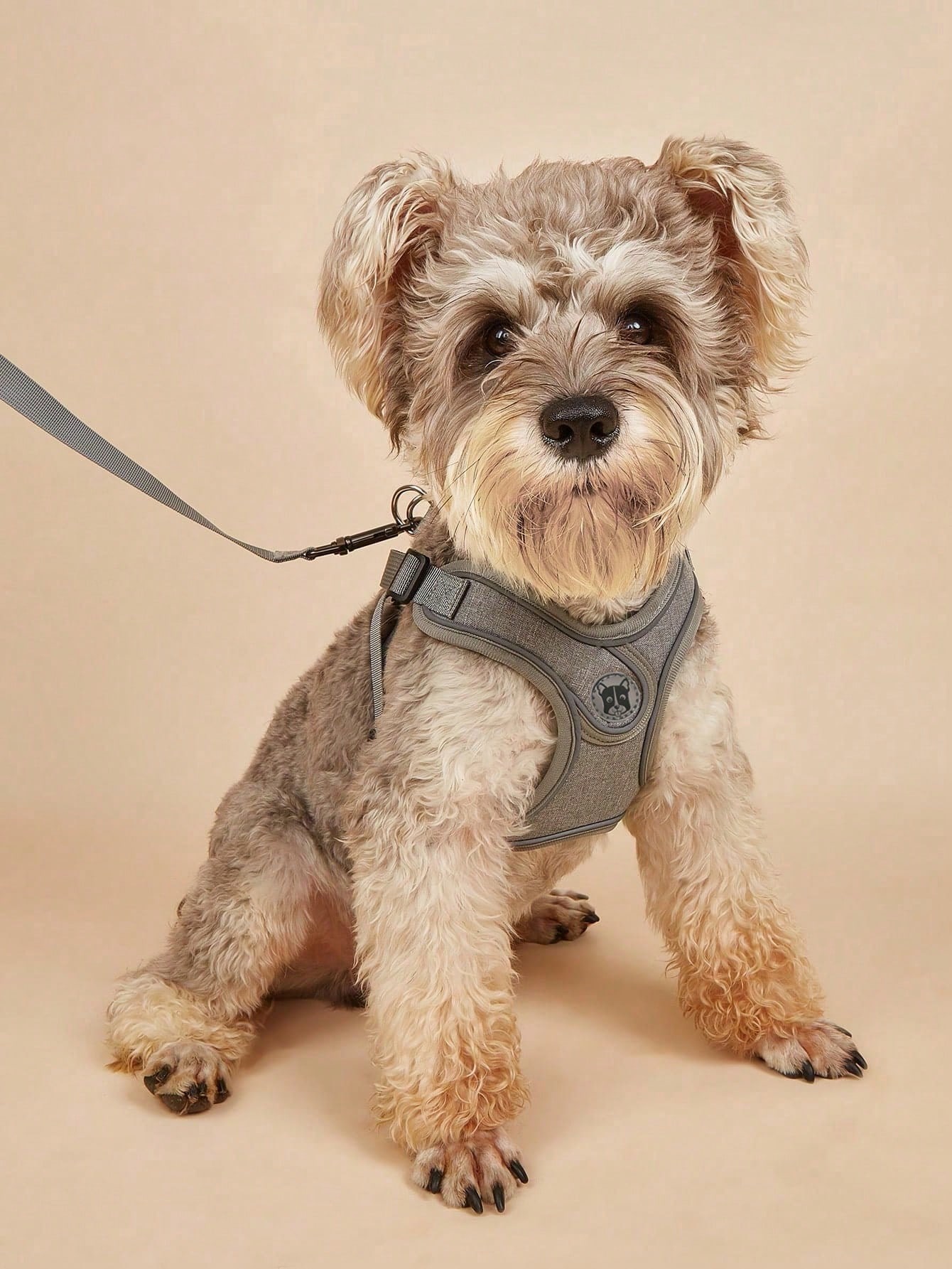 Dog Harness for Small Medium D - مراجعة Running Gear Dog وسعره