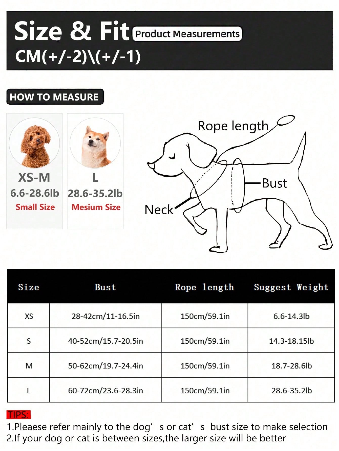 Dog Harness for Small Medium D - مراجعة Running Gear Dog وسعره