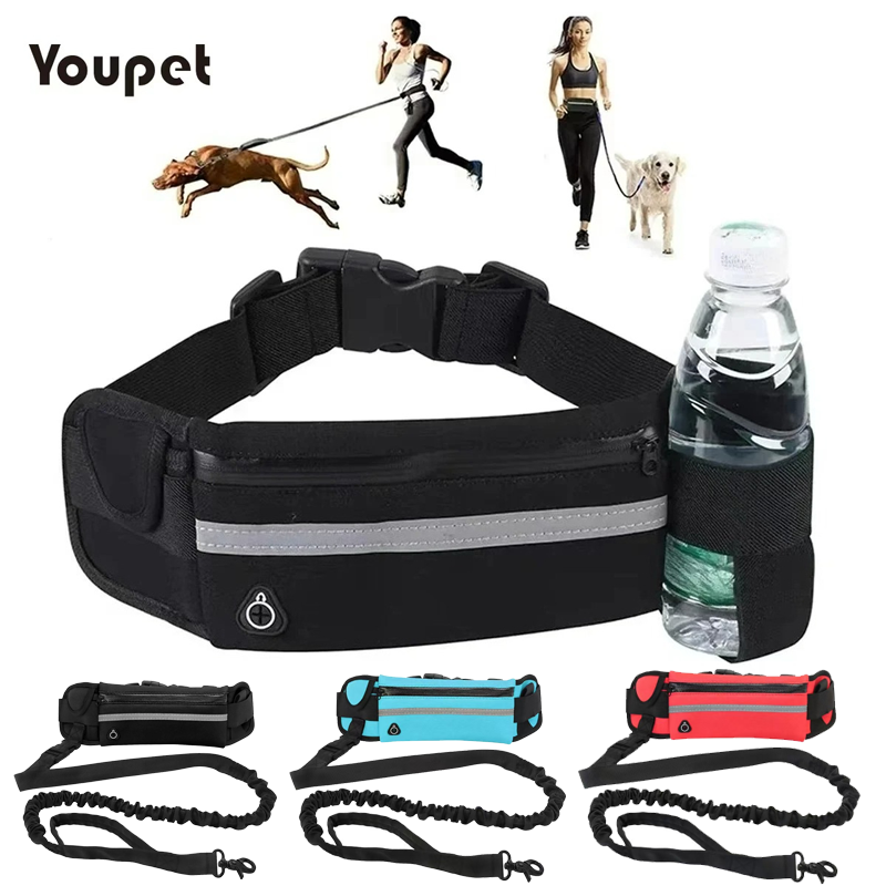 Dog Running Waist Leash Nylon  - مراجعة Running Gear Dog وسعره