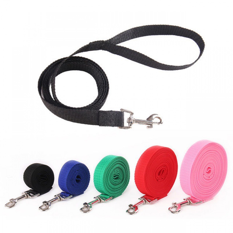 Durable Nylon Dog Leash for Sm - مراجعة Running Gear Dog وسعره