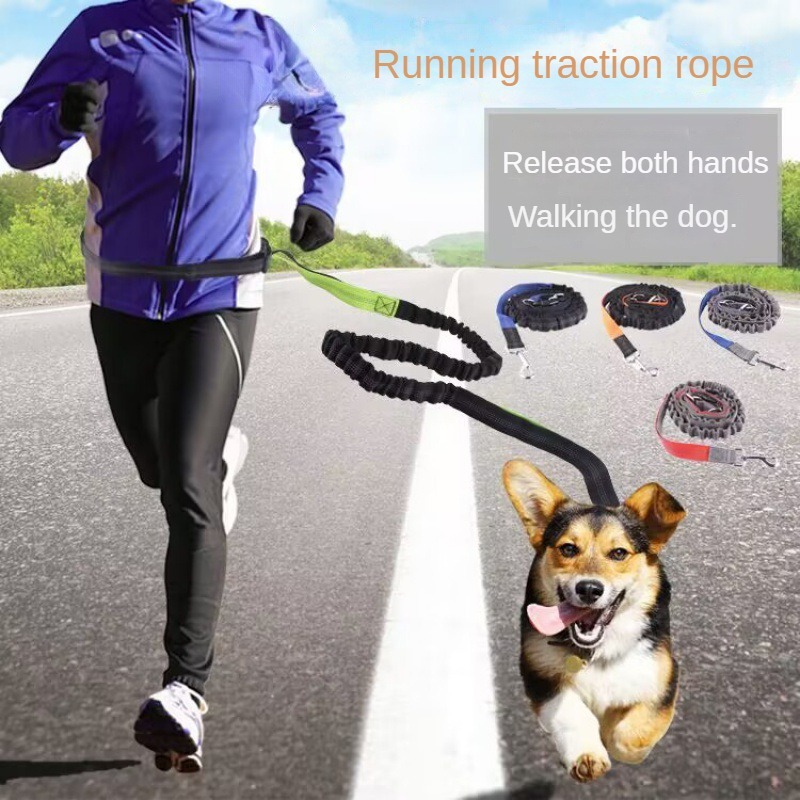 Hand Free Dog Leash for Pet Wa - مراجعة Running Gear Dog وسعره