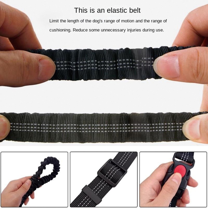 Hand Free Dog Leash for Pet Wa - مراجعة Running Gear Dog وسعره