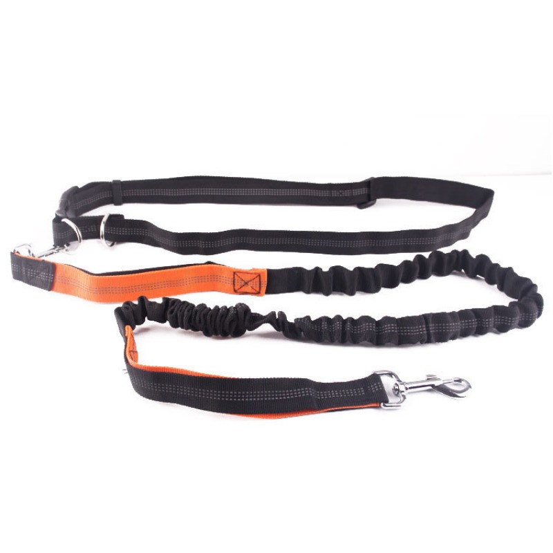 Hand Free Dog Leash for Pet Wa - مراجعة Running Gear Dog وسعره