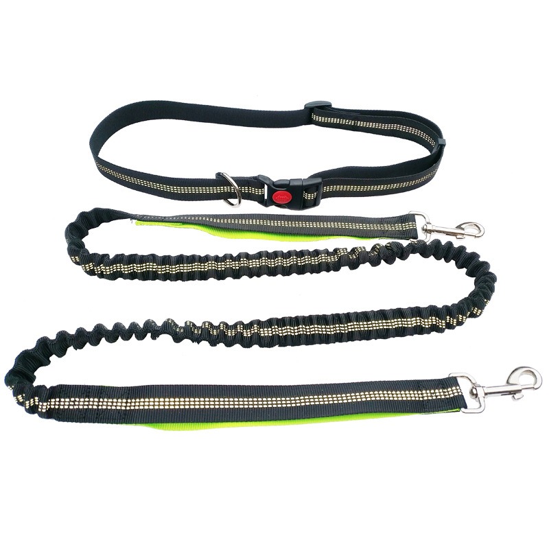 Hand Free Dog Leash for Pet Wa - مراجعة Running Gear Dog وسعره