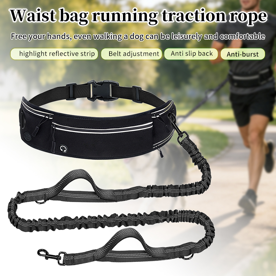 Foldable Reflective Dog Leash  - مراجعة Running Gear Dog وسعره