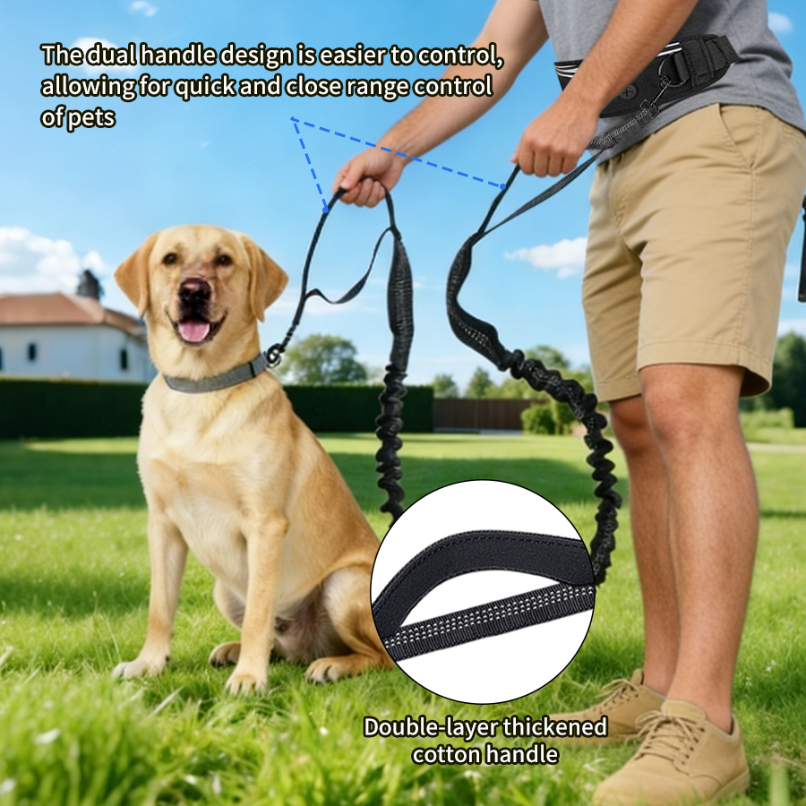 Foldable Reflective Dog Leash  - مراجعة Running Gear Dog وسعره