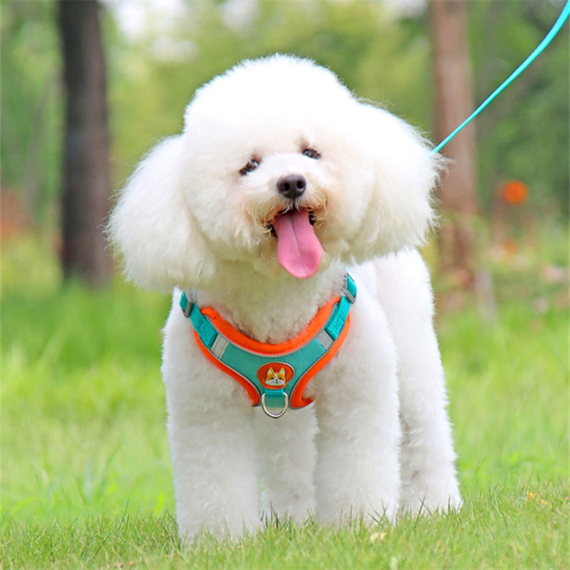 Adjustable No Pull Reflective  - مراجعة Running Gear Dog وسعره