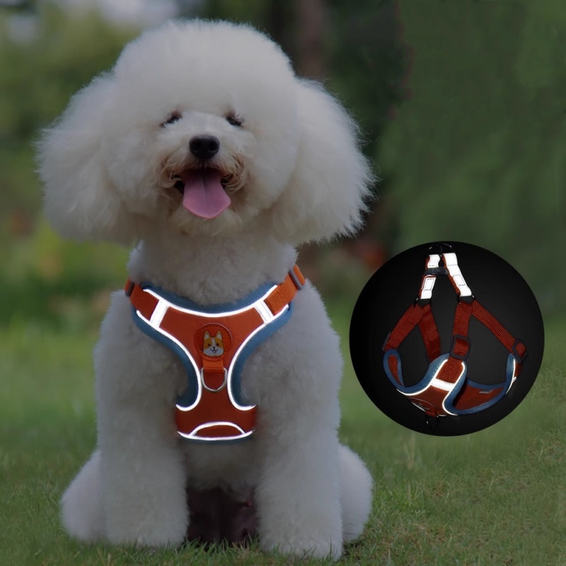 Adjustable No Pull Reflective  - مراجعة Running Gear Dog وسعره
