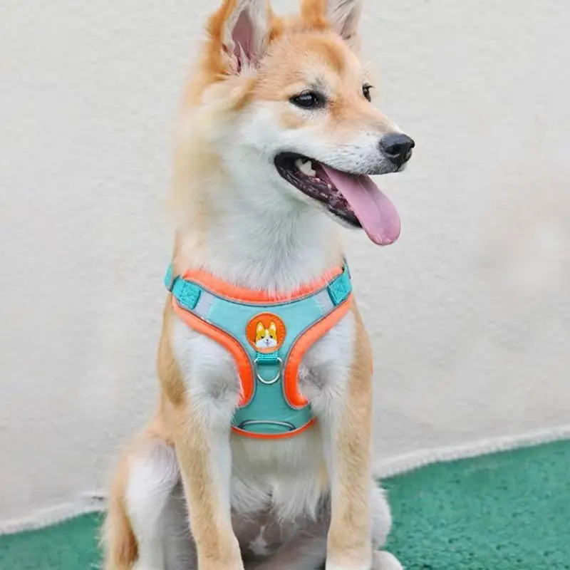 Adjustable No Pull Reflective  - مراجعة Running Gear Dog وسعره